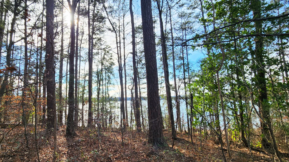 A quiet moment by the lake on campus, which occasionally becomes my "outdoor office".