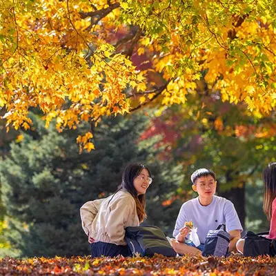 Drei Studenten:innen sitzen auf dem Laubbedeckten Boden auf dem herbstlichen Campus